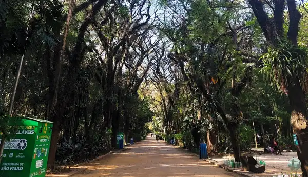 Parque do Piqueri
