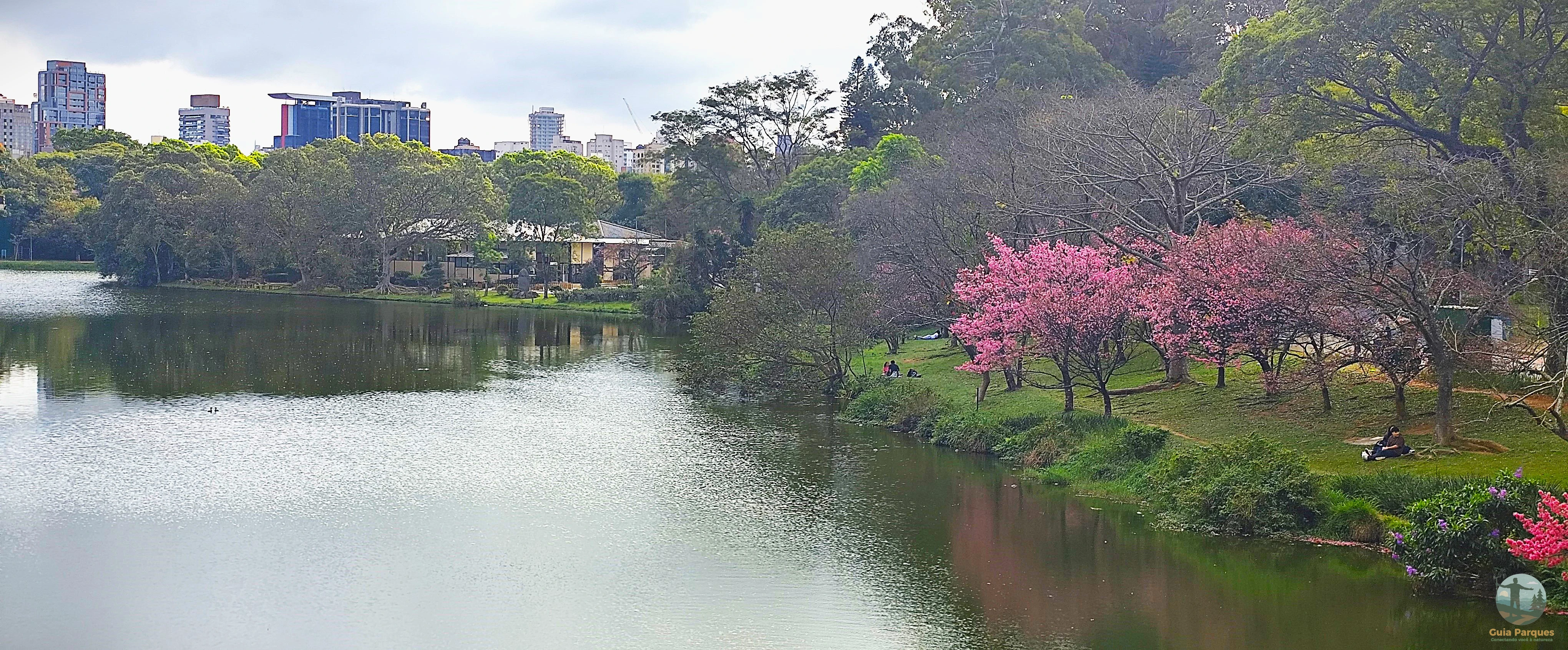 Parque Ibirapuera — São Paulo SP